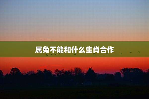 属兔不能和什么生肖合作