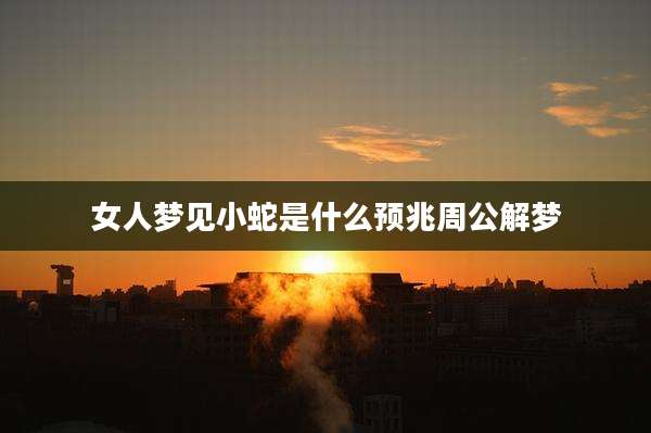 女人梦见小蛇是什么预兆周公解梦