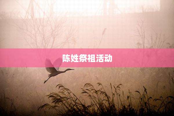 陈姓祭祖活动
