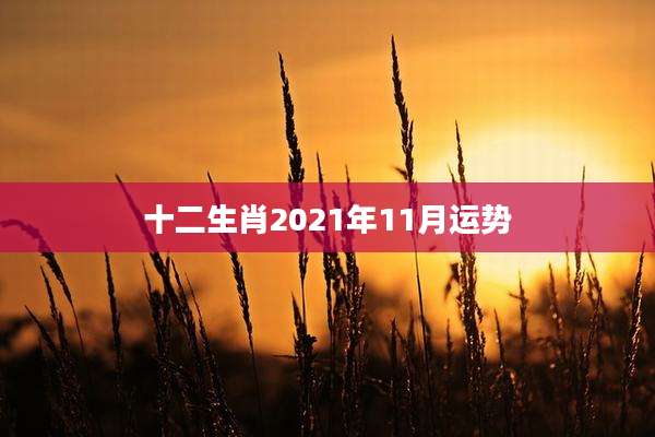 十二生肖2021年11月运势