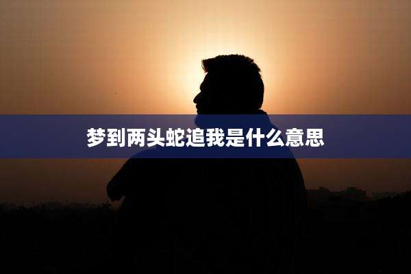 梦到两头蛇追我是什么意思