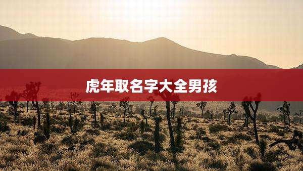 虎年取名字大全男孩