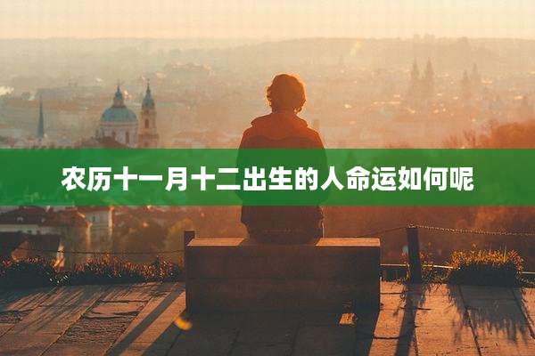 农历十一月十二出生的人命运如何呢