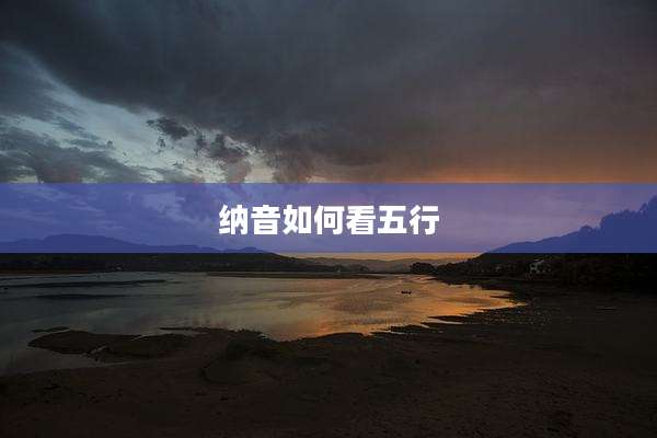 纳音如何看五行