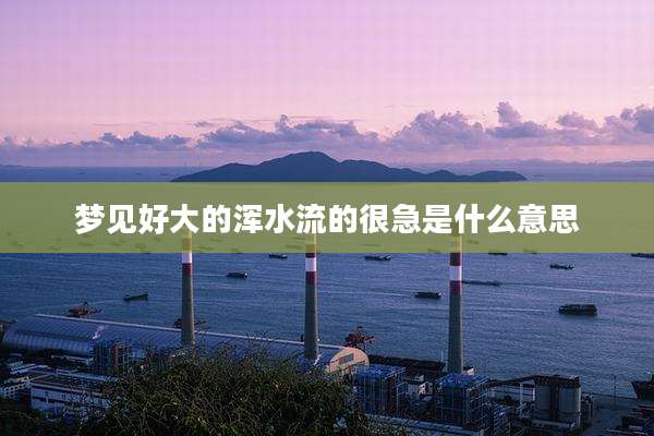 梦见好大的浑水流的很急是什么意思