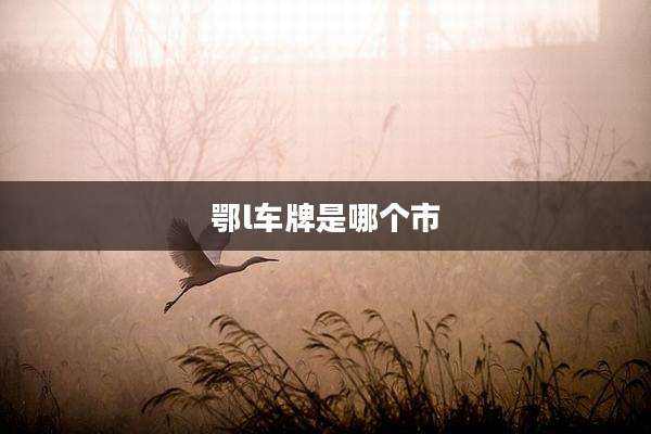 鄂l车牌是哪个市