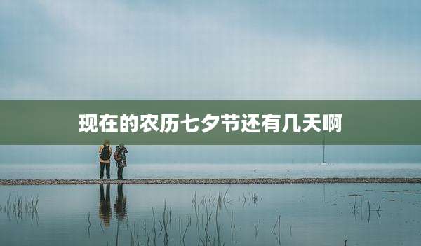 现在的农历七夕节还有几天啊