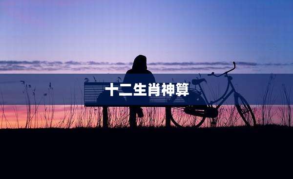 十二生肖神算