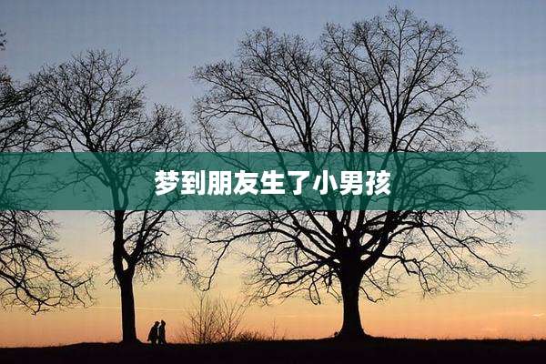 梦到朋友生了小男孩