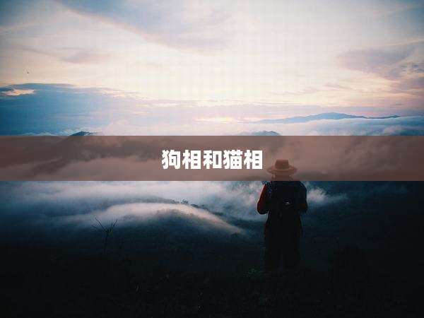 狗相和猫相