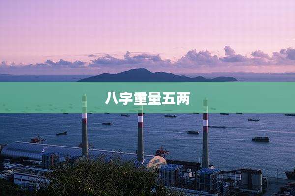 八字重量五两