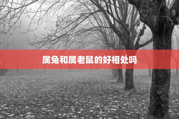属兔和属老鼠的好相处吗