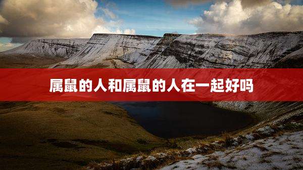 属鼠的人和属鼠的人在一起好吗