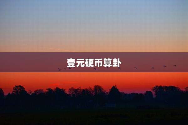 壹元硬币算卦