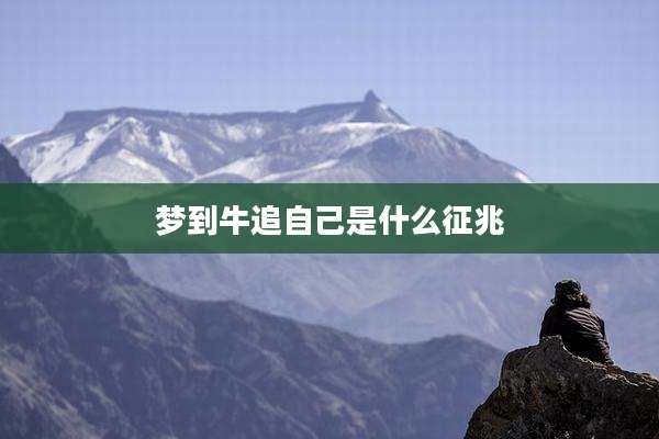 梦到牛追自己是什么征兆