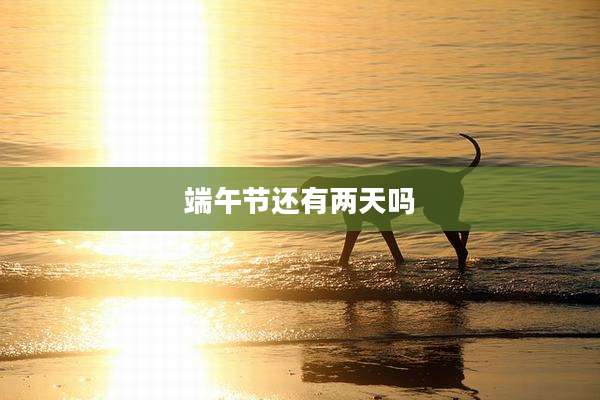 端午节还有两天吗