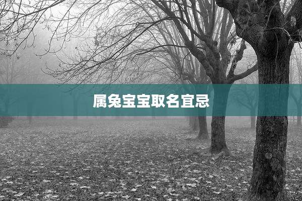 属兔宝宝取名宜忌