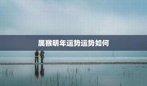 属猴明年运势运势如何