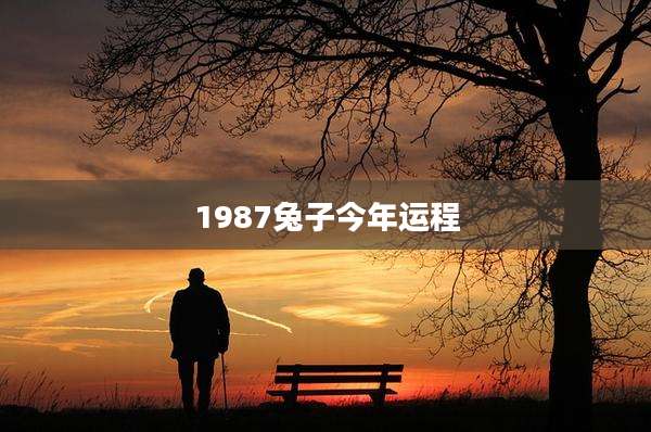 1987兔子今年运程
