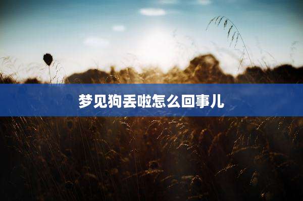 梦见狗丢啦怎么回事儿