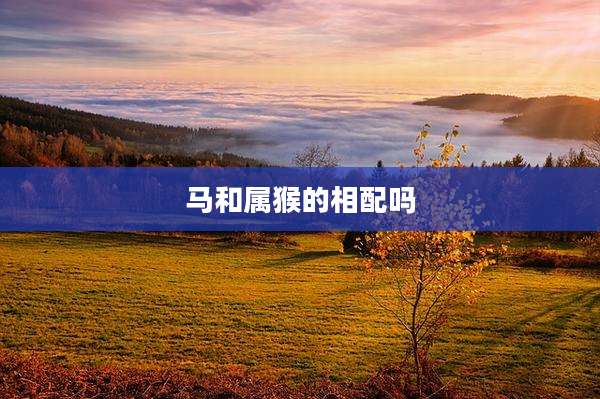 马和属猴的相配吗