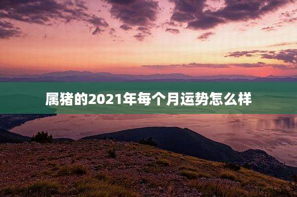 属猪的2021年每个月运势怎么样