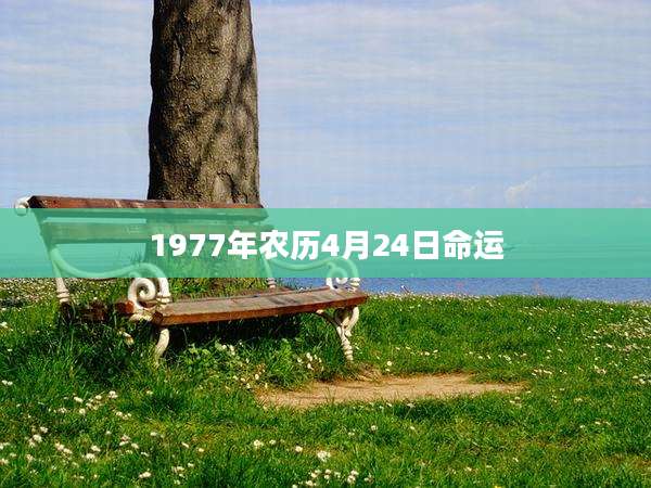 1977年农历4月24日命运