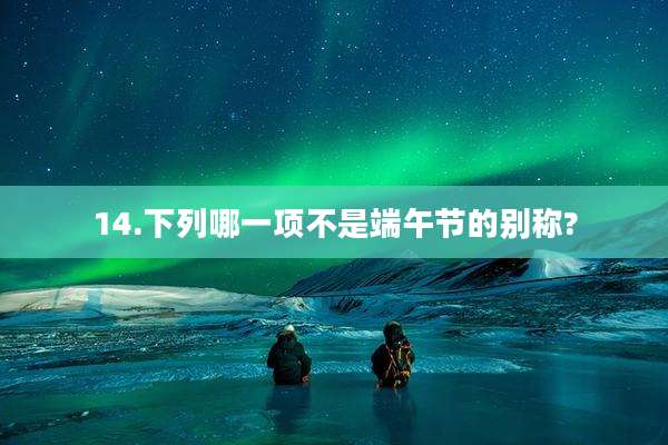 14.下列哪一项不是端午节的别称?