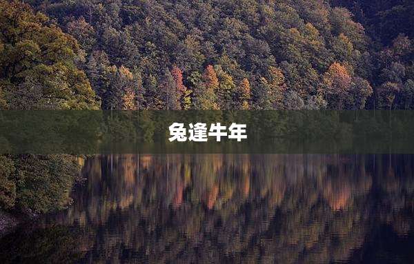 兔逢牛年