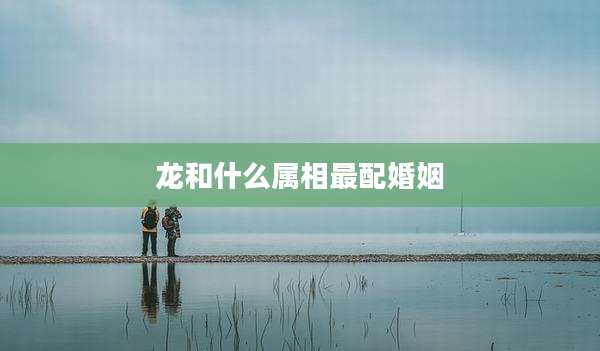 龙和什么属相最配婚姻