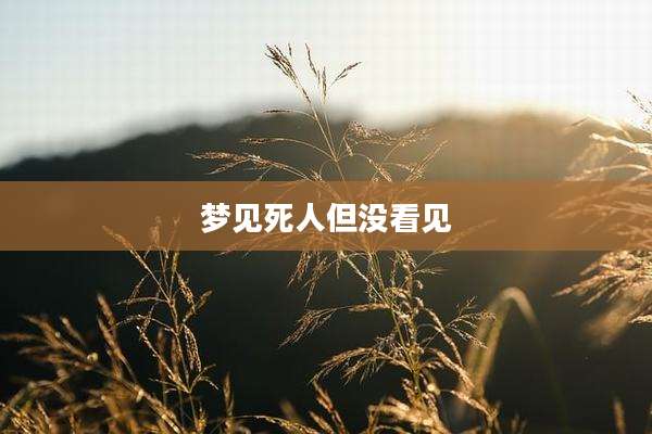 梦见死人但没看见