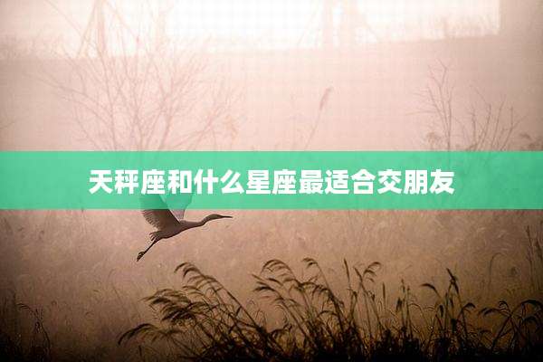 天秤座和什么星座最适合交朋友