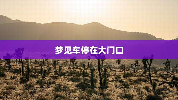 梦见车停在大门口