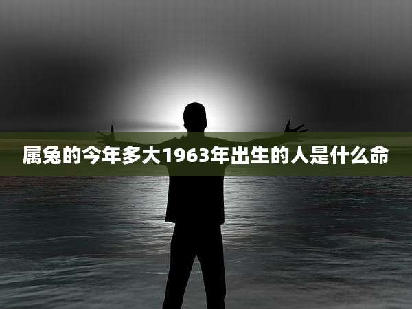 属兔的今年多大1963年出生的人是什么命