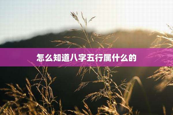 怎么知道八字五行属什么的