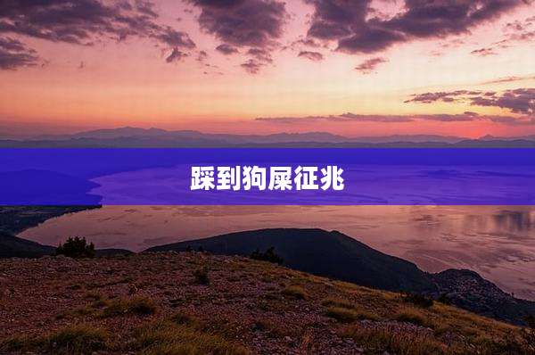 踩到狗屎征兆