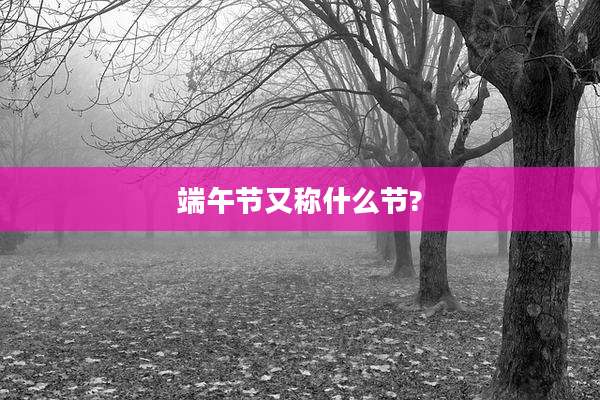 端午节又称什么节?