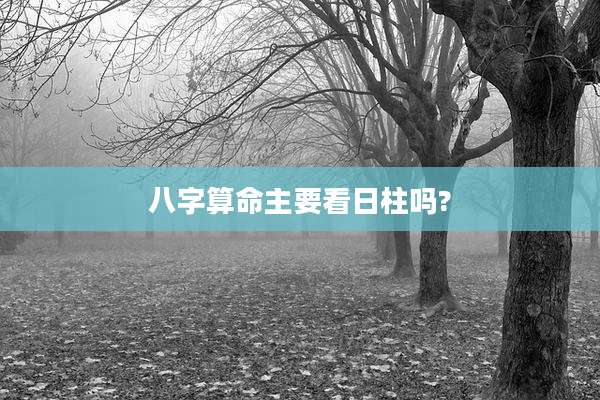 八字算命主要看日柱吗?