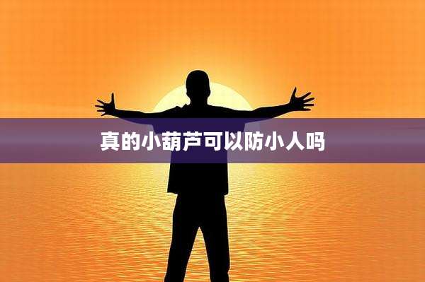 真的小葫芦可以防小人吗