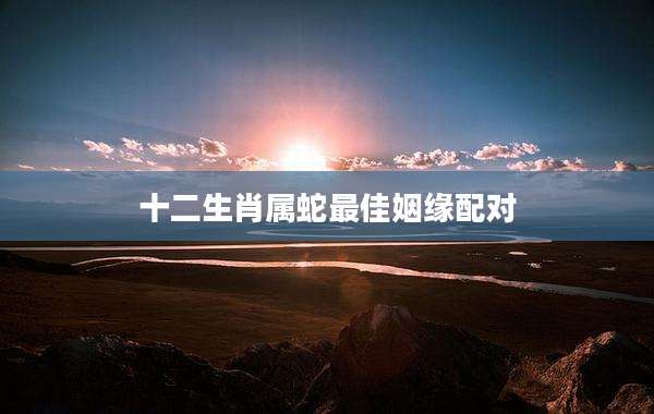 十二生肖属蛇最佳姻缘配对