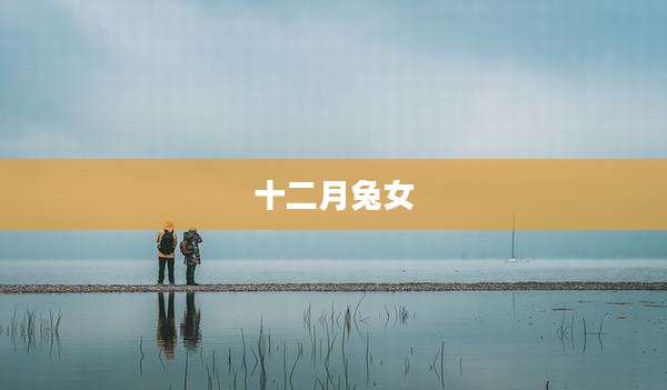 十二月兔女