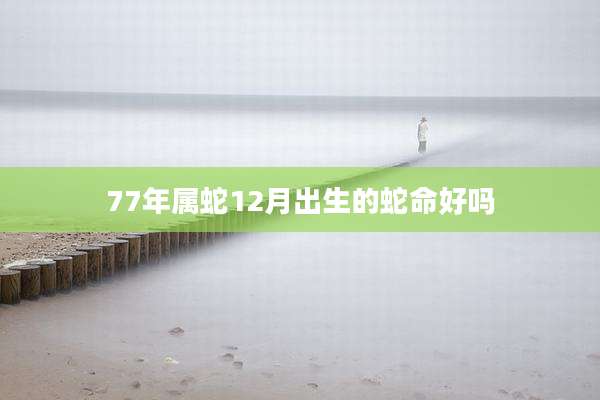 77年属蛇12月出生的蛇命好吗