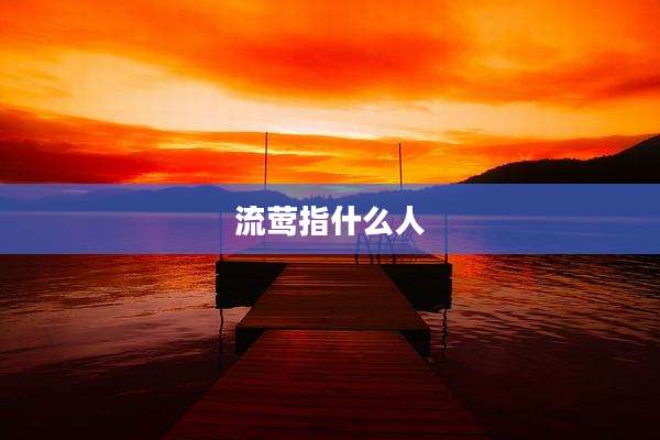 流莺指什么人