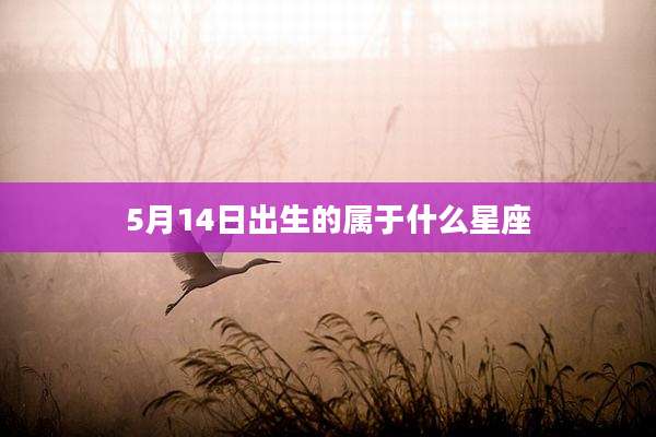 5月14日出生的属于什么星座