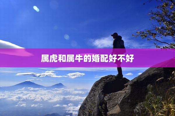 属虎和属牛的婚配好不好