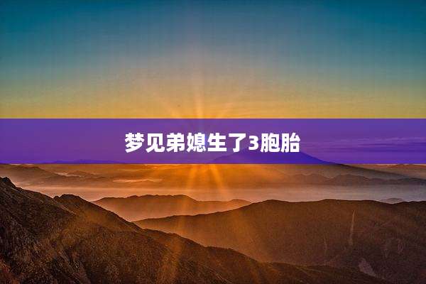 梦见弟媳生了3胞胎