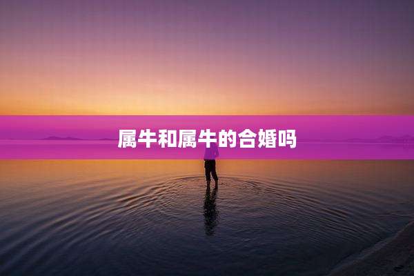 属牛和属牛的合婚吗