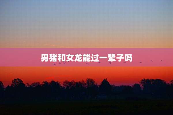 男猪和女龙能过一辈子吗