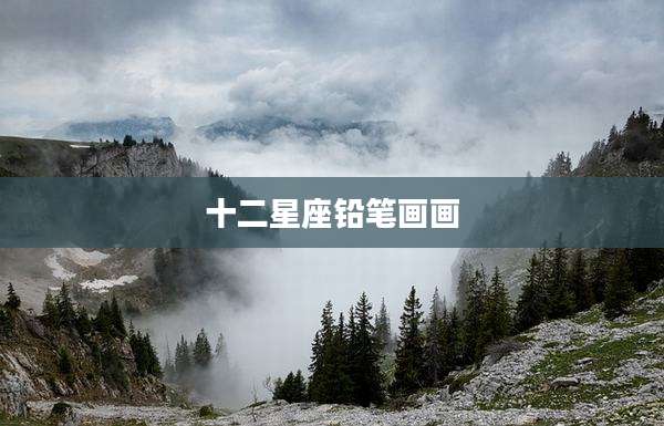 十二星座铅笔画画