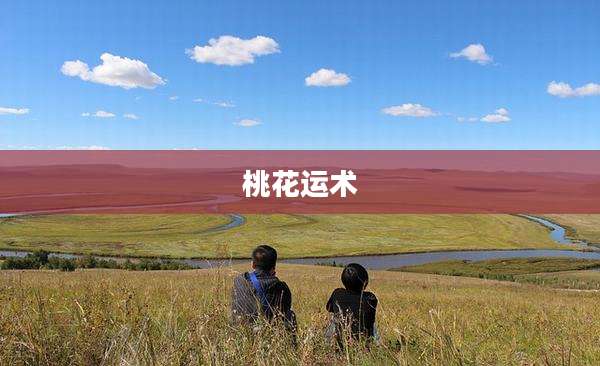 桃花运术